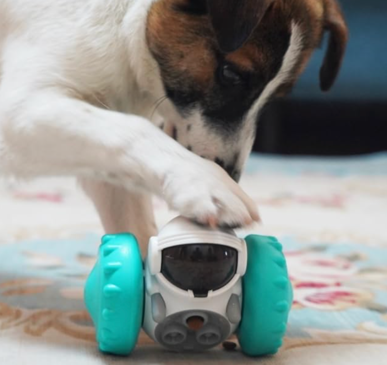 Pawsome Puzzler - Slow Feed Fun Twister