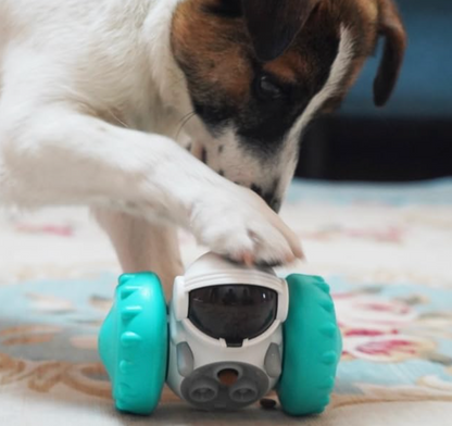 Pawsome Puzzler - Slow Feed Fun Twister