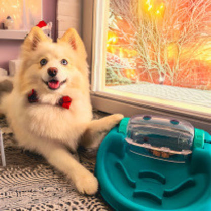 Spin & Satisfy - Food Puzzle Pet Toy