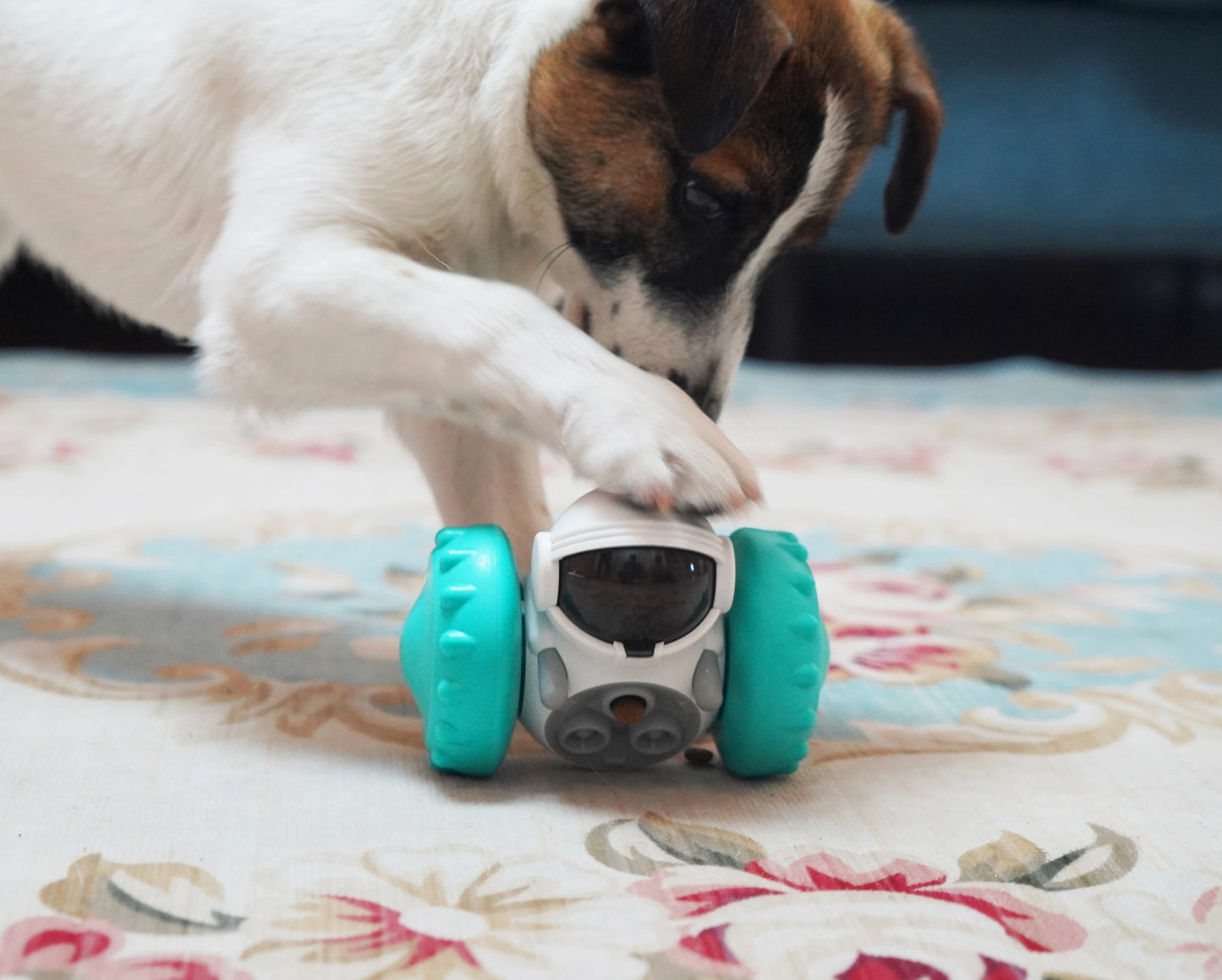 Pawsome Puzzler - Slow Feed Fun Twister