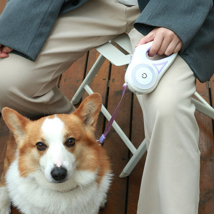 StreamerLight Dog Leash