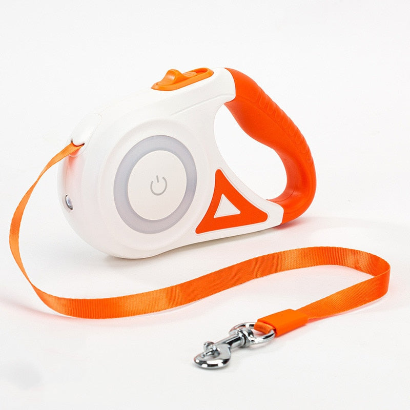 StreamerLight Dog Leash