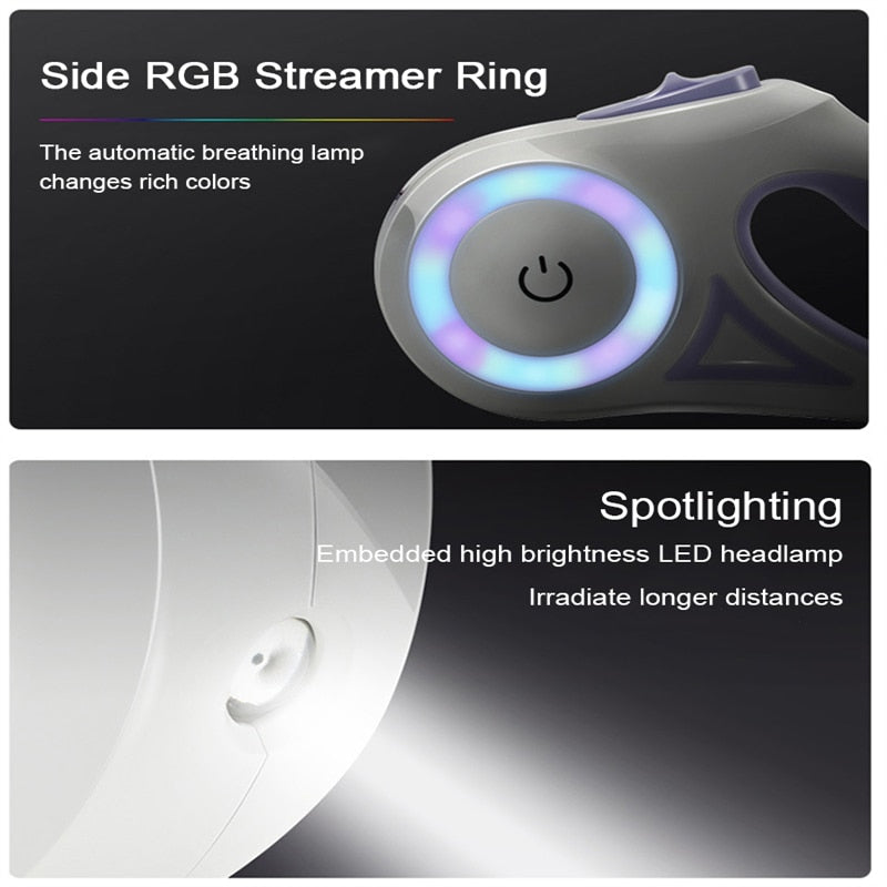 StreamerLight Dog Leash