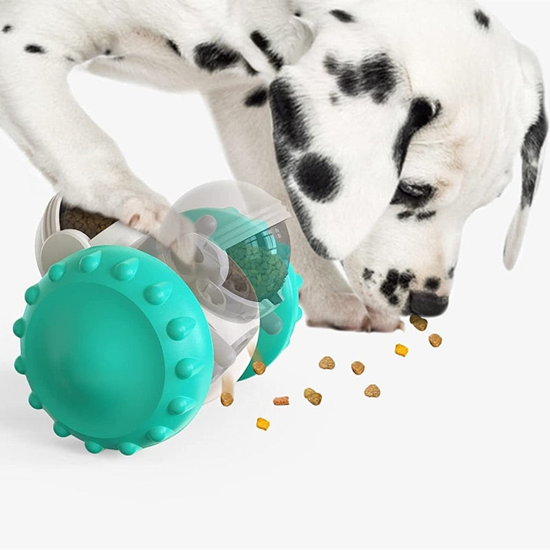 Pawsome Puzzler - Slow Feed Fun Twister