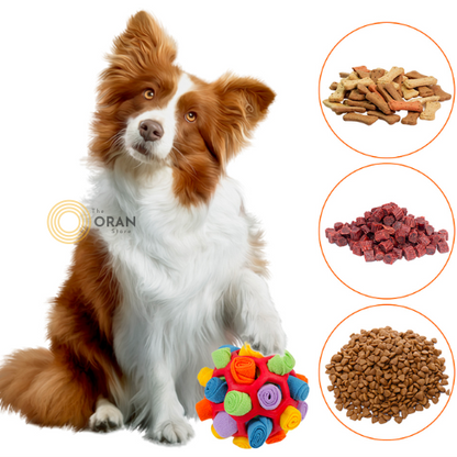 Treattot Ball - Pet Sniffing Ball